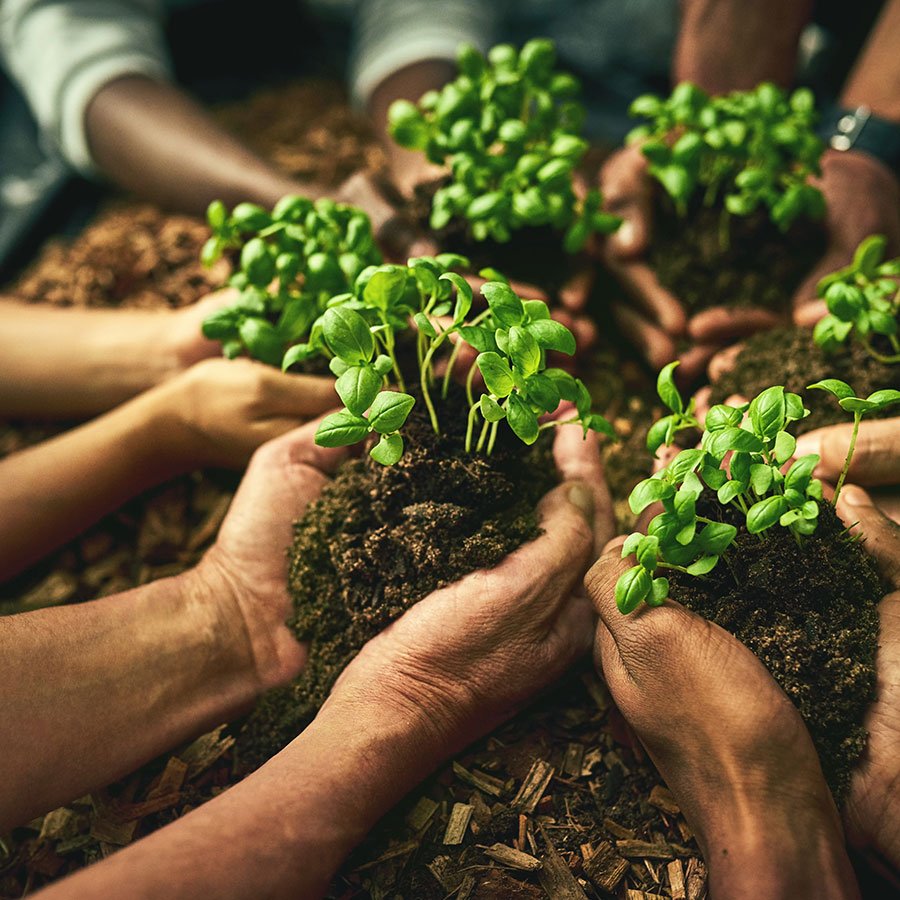 its-a-new-beginning-for-all